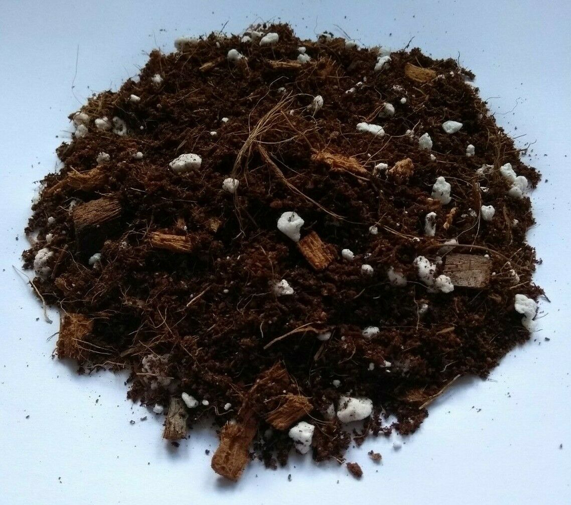 Aloe Vera Specialist Plant Compost image 0