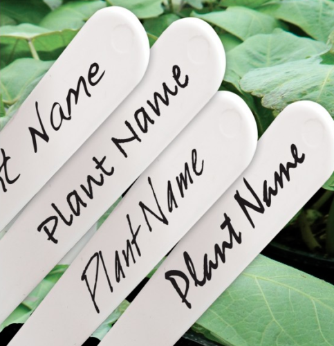 Plant Pot Labels White Plastic for Garden Trays, Stake, Tags 6" Blank Label image 0