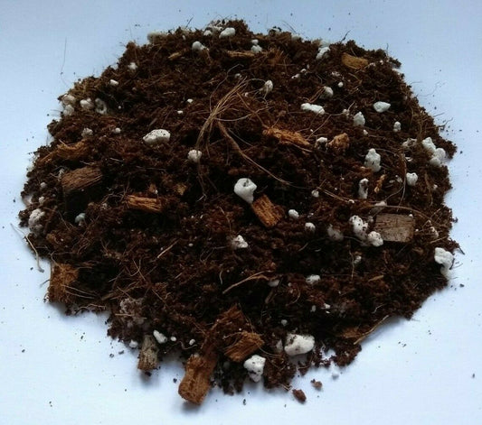 Aloe Vera Specialist Plant Compost image 0