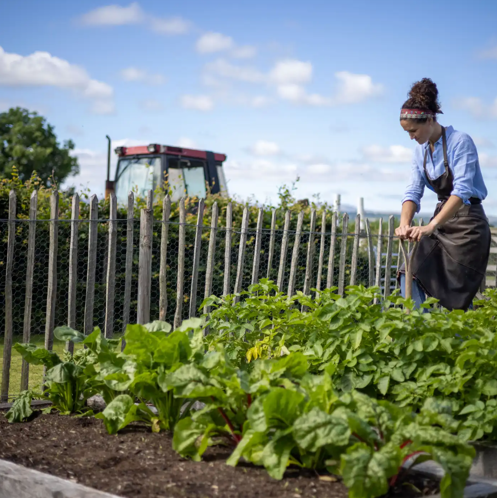Composted Mini Bark Chips - Organic Soil Improver image 0
