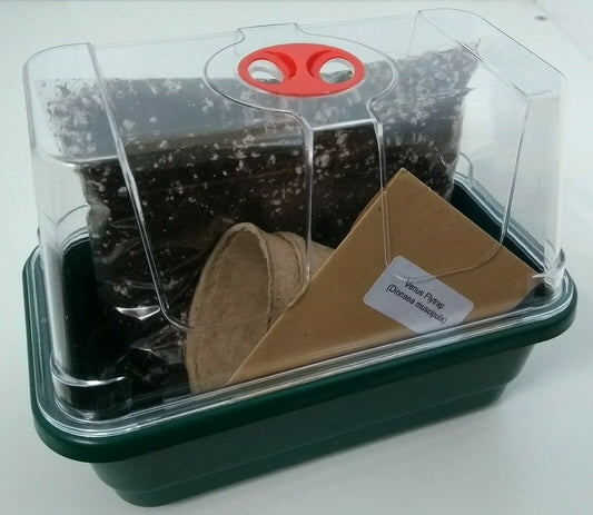 Carnivorous VENUS FLY TRAP GROWING KIT * Seeds & Compost * Everything You Need * image 0