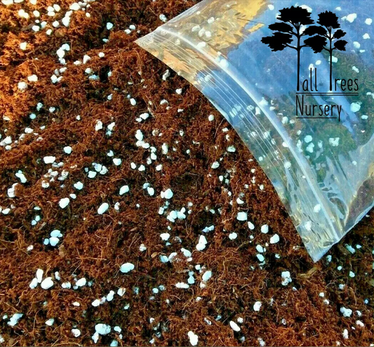 Ready To Use COCO Fibre Coir Perlite MIX * Plant Growing Medium * PREMIUM GRADE