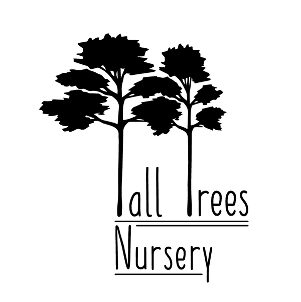 Tall Trees Nursery