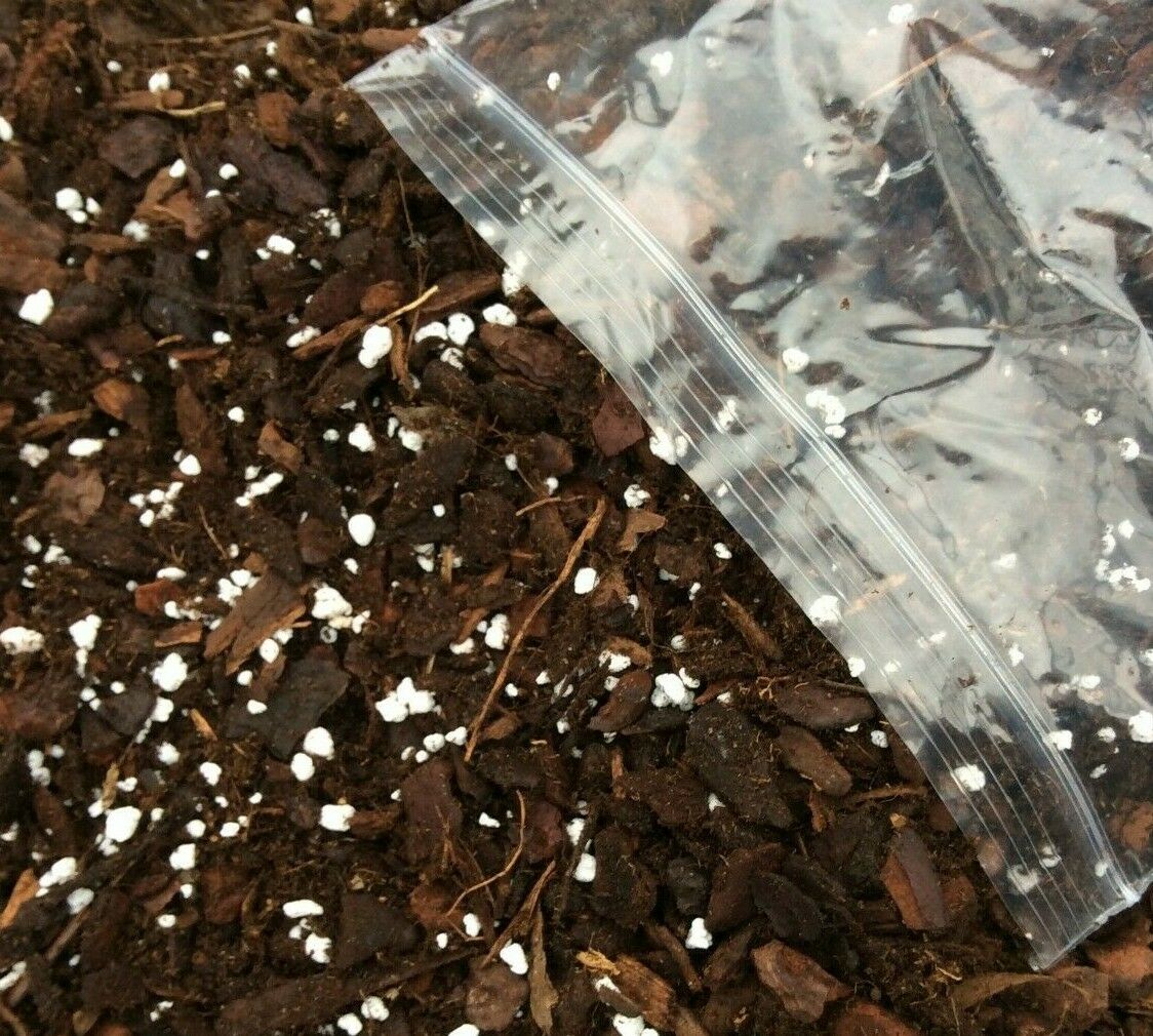 Tropical Soil Mix - Philodendron, Aroids, Monstera, Anthurium, Hoya, Orchids image 1