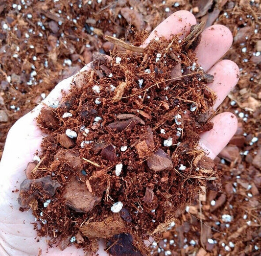 Monstera Soil Mix for Aroids, Philodendron, Calathea Free Draining Coco Coir Base image 0